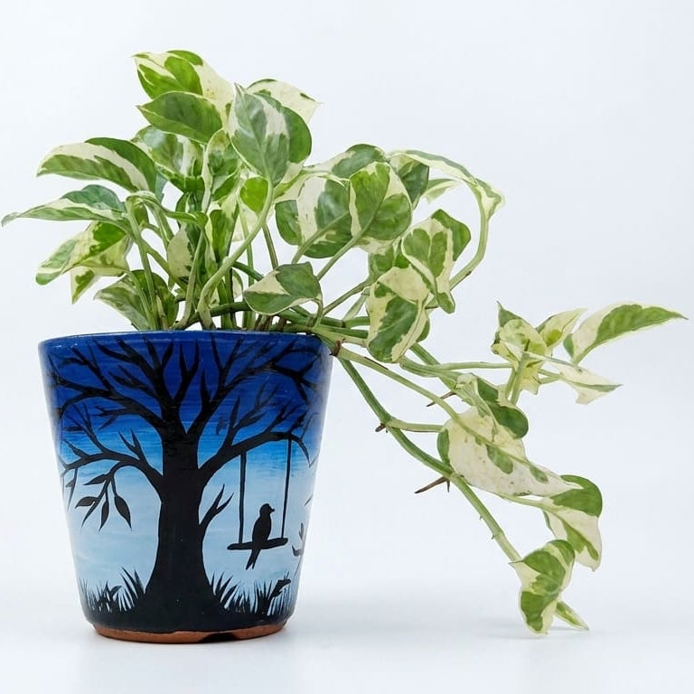 Money Plant N Joy in Moonlit Grove Terra Pot