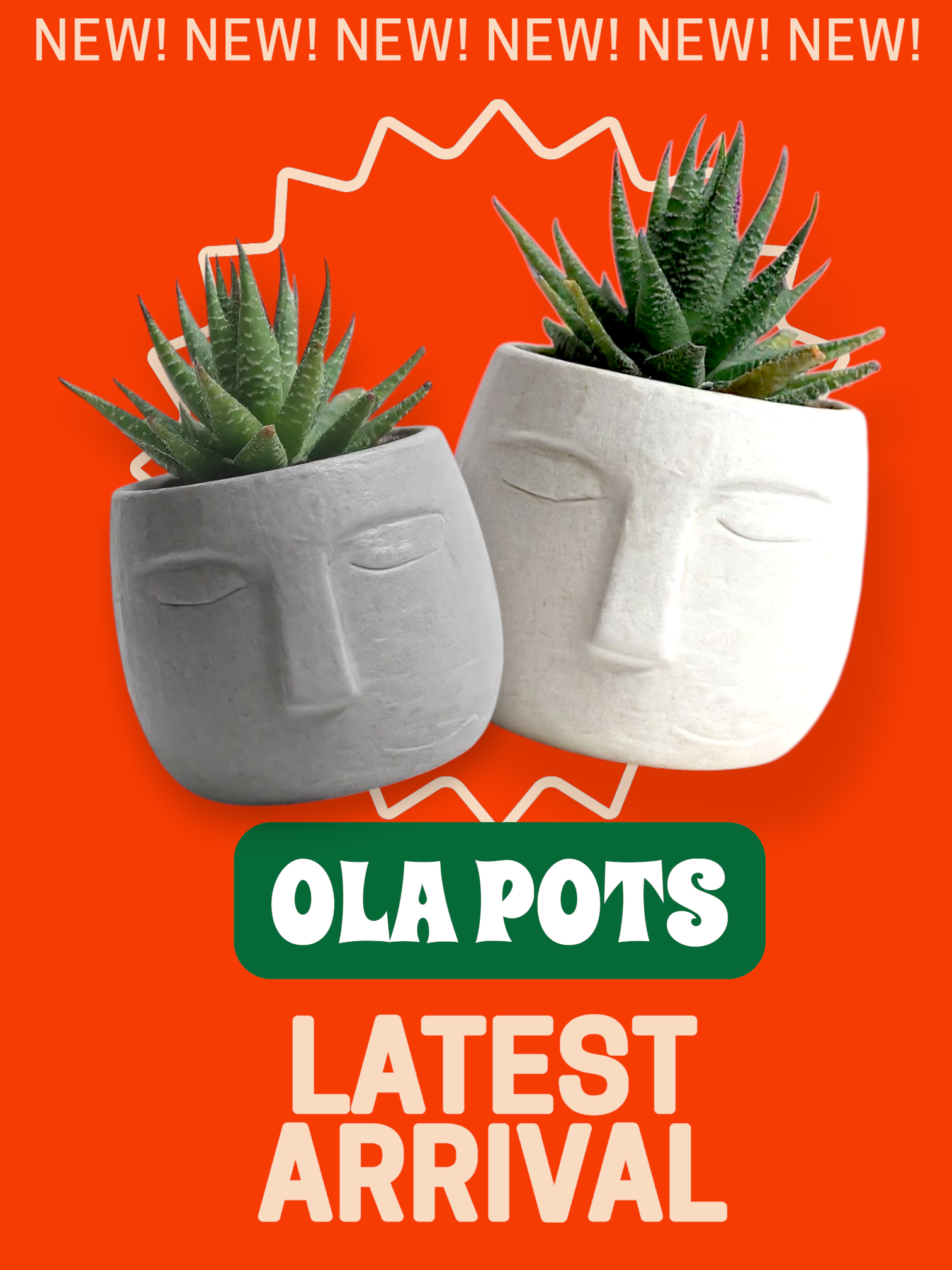 Shalamar Nurseries & Landscapers