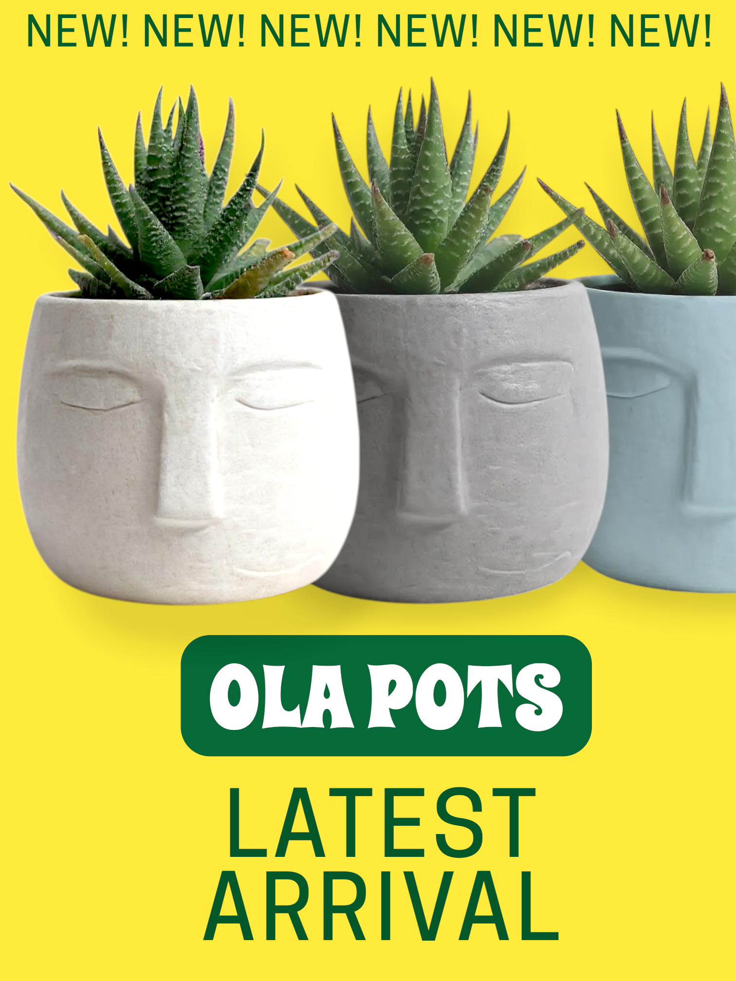 custom-slideshow-image-mobile-block_HyGnhc