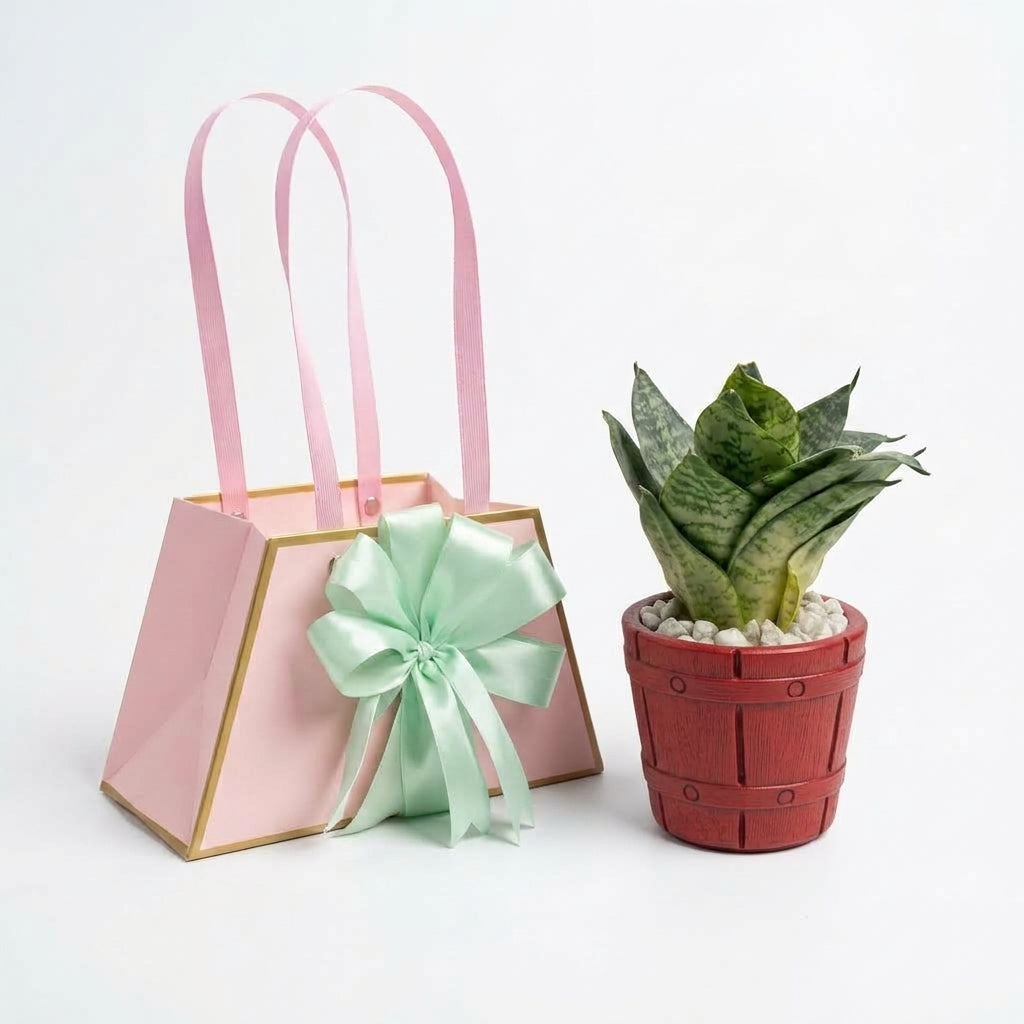 Premium Gift Bag With Hand crafted Pot and Easy Care Snake Plant - Best For Gift!