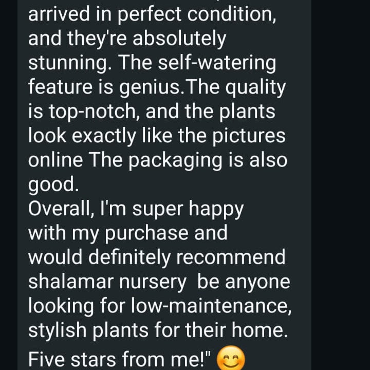 Shalamar Nurseries & Landscapers