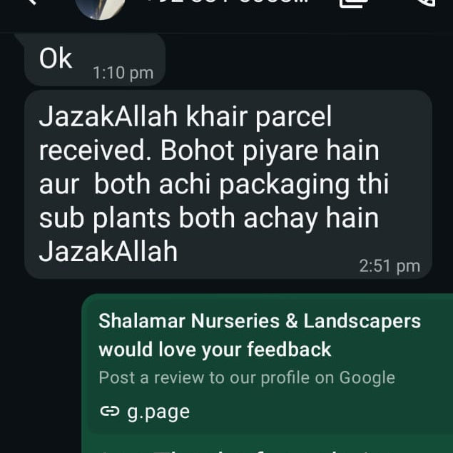 Shalamar Nurseries & Landscapers