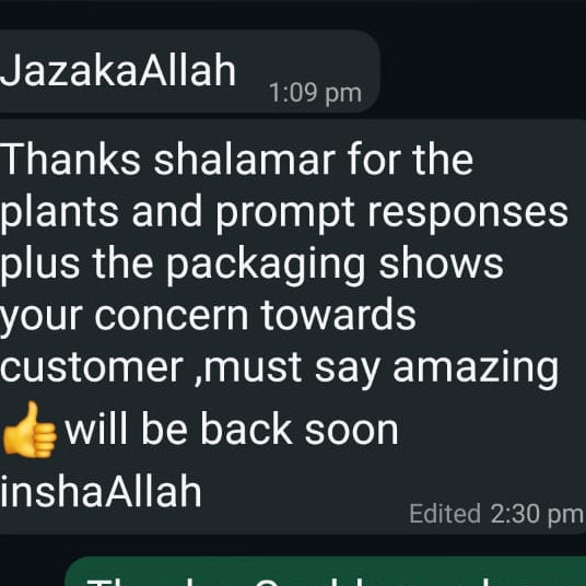 Shalamar Nurseries & Landscapers