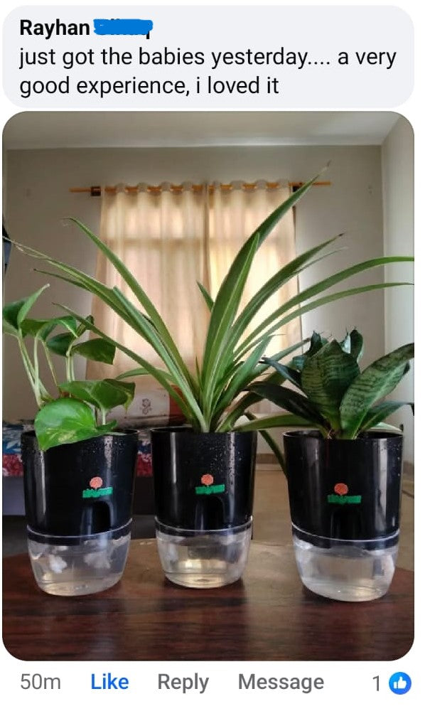 Shalamar Nurseries & Landscapers