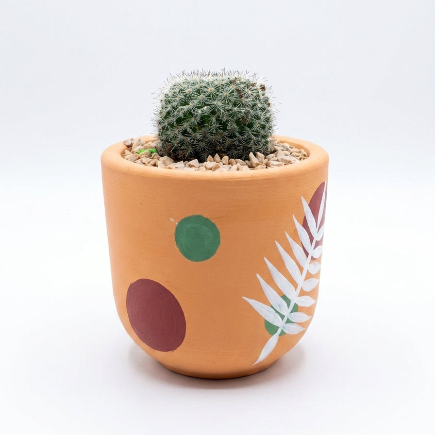 Ball Cactus in Hand Painted Terracotta Pot