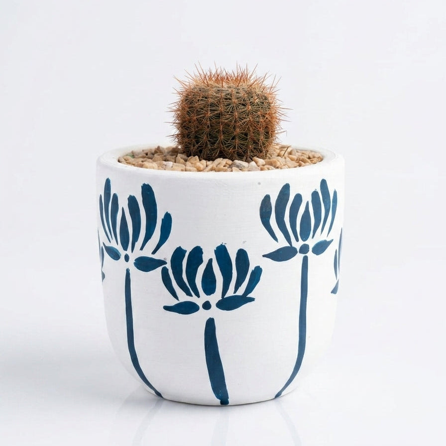 Ball Cactus in Hand Painted Terracotta Pot