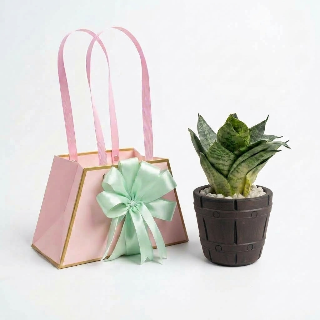 Premium Gift Bag With Hand crafted Pot and Easy Care Snake Plant - Best For Gift!