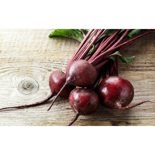 Beet Root - Shalamar Nurseries & LandscapersShalamar Nurseries & Landscapers
