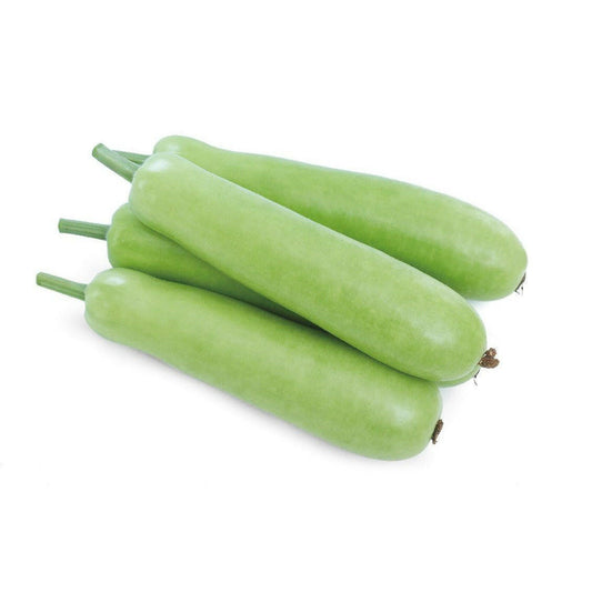 Bottle Gourd - Shalamar Nurseries & LandscapersShalamar Nurseries & Landscapers
