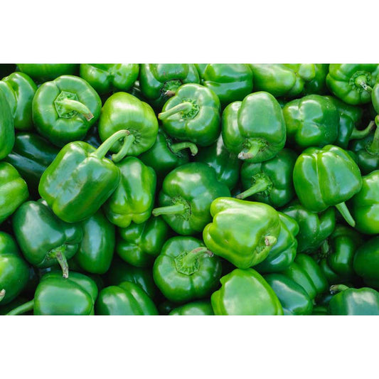 Capsicum green