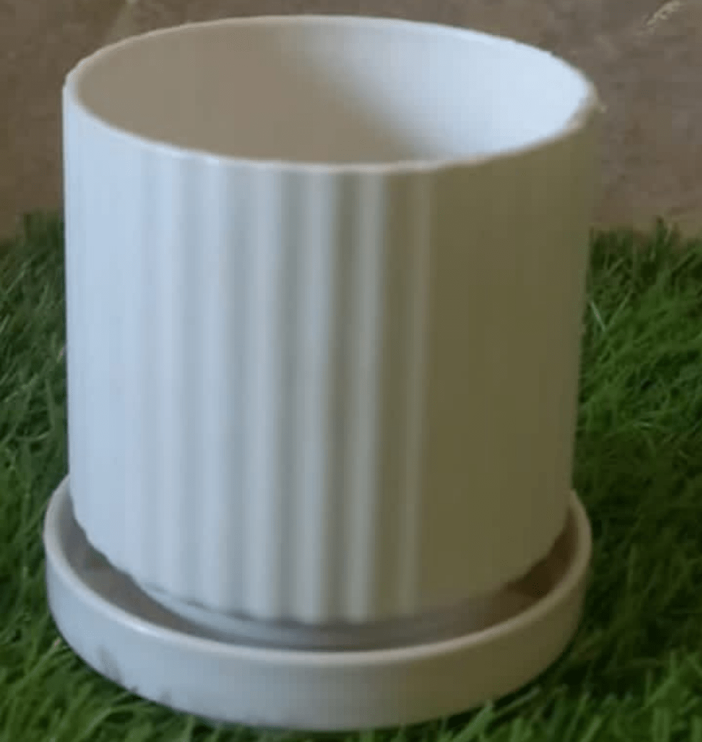 Hight quality imported Plastic pots for succulents and cactus - Shalamar Nurseries & Landscapers