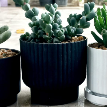 Premium Plastic Pots