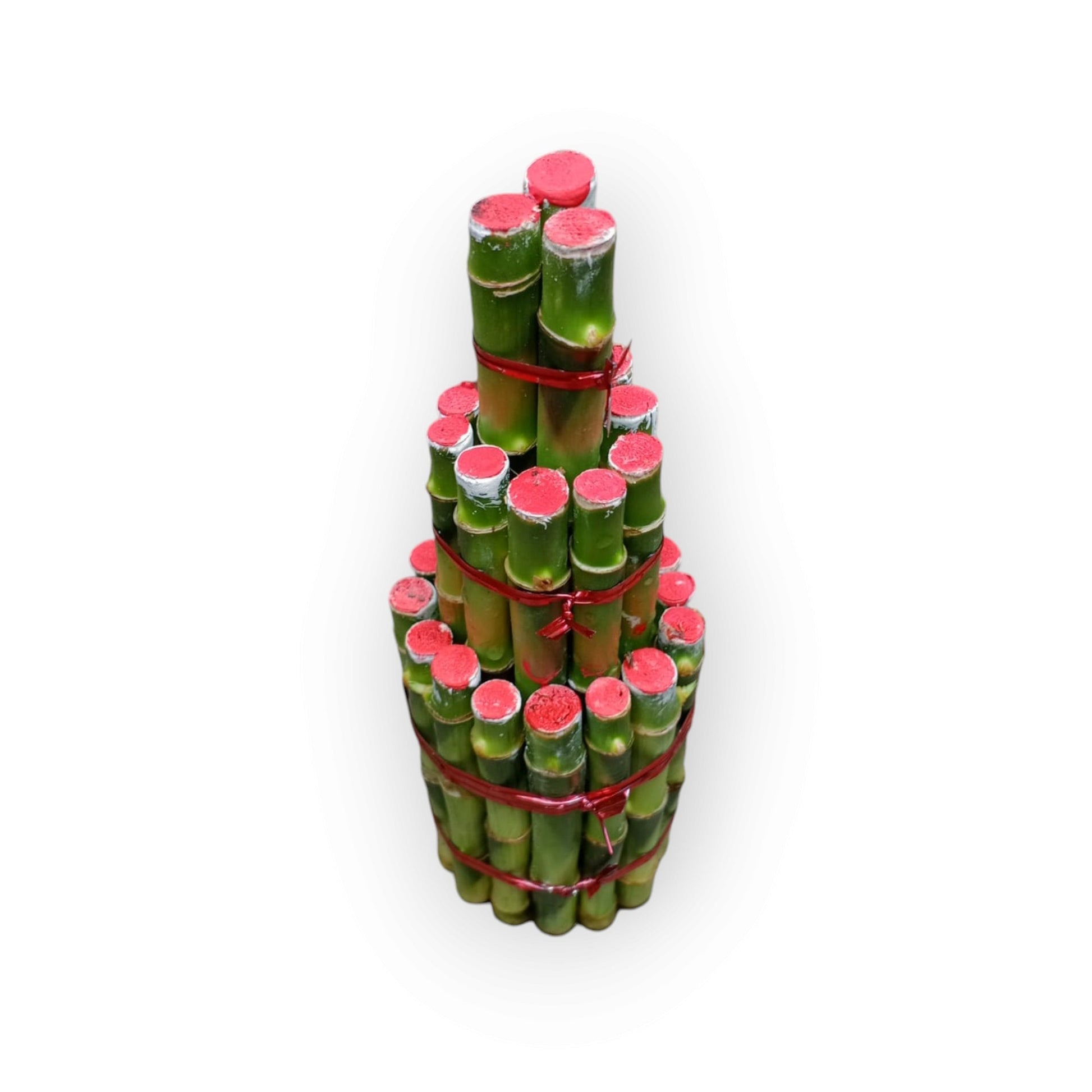 Lucky Bamboo Bunch - Shalamar Nurseries & LandscapersShalamar Nurseries & Landscapers