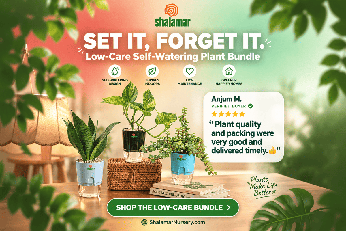 Shalamar Nurseries & Landscapers
