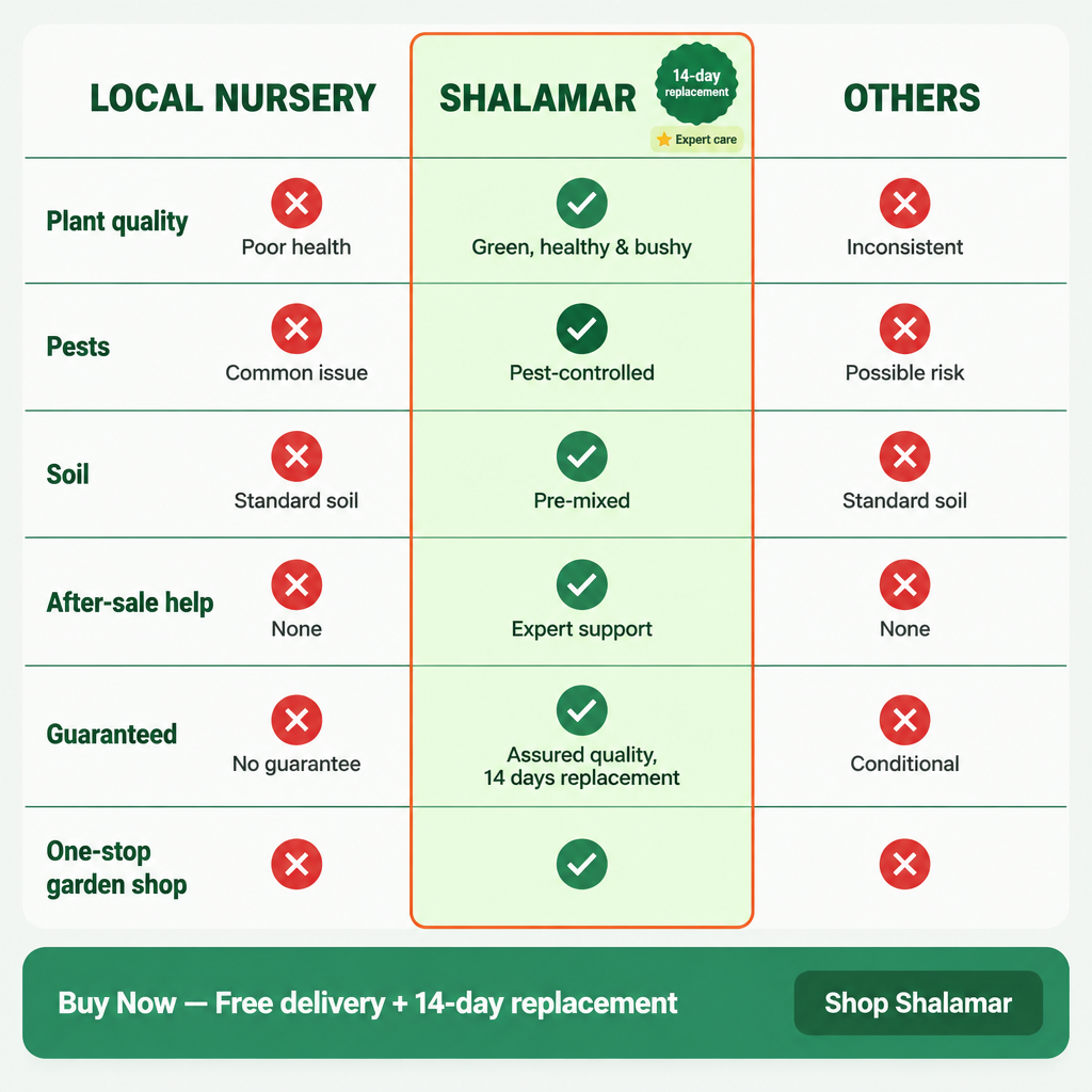 Shalamar Green Club