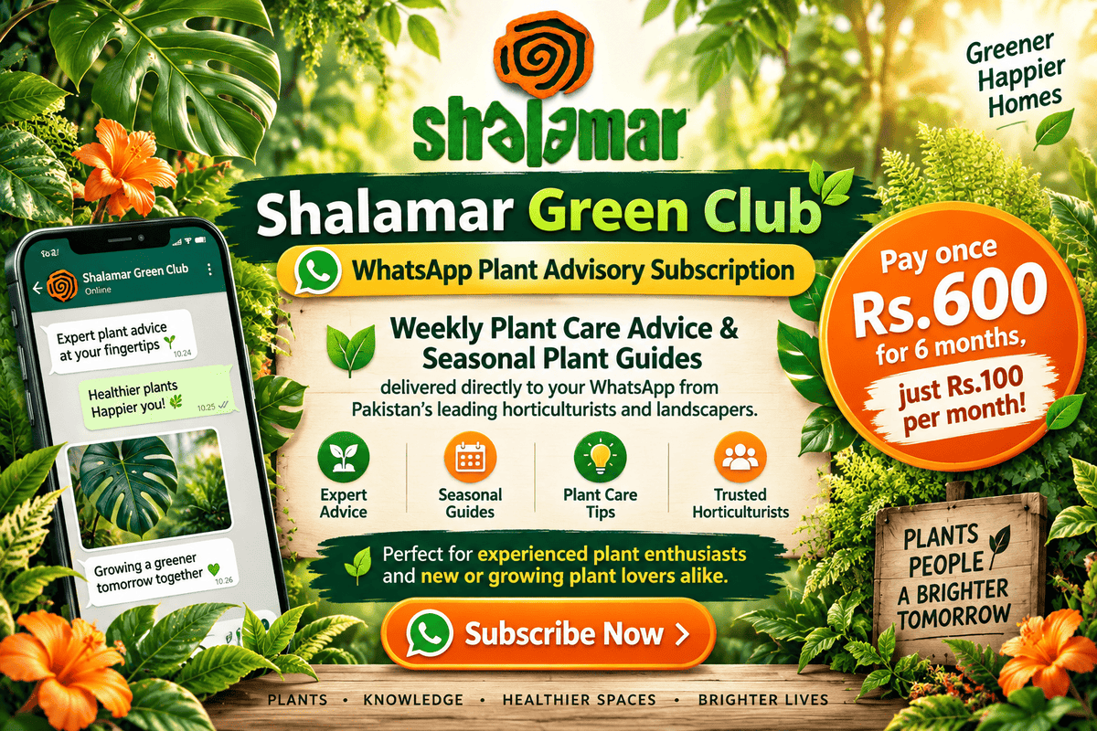 Shalamar Green Club