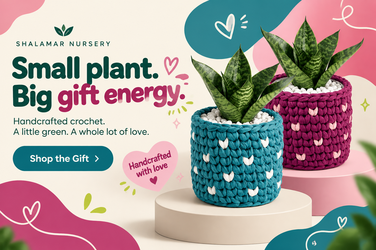 Shalamar Nurseries & Landscapers