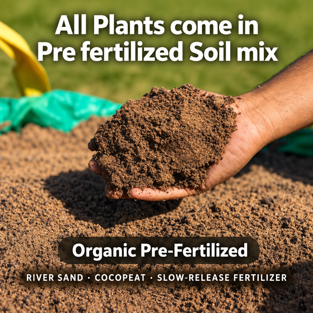 Pre-fertilized soil mix