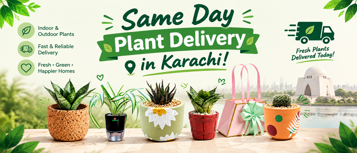 Shalamar Nurseries & Landscapers