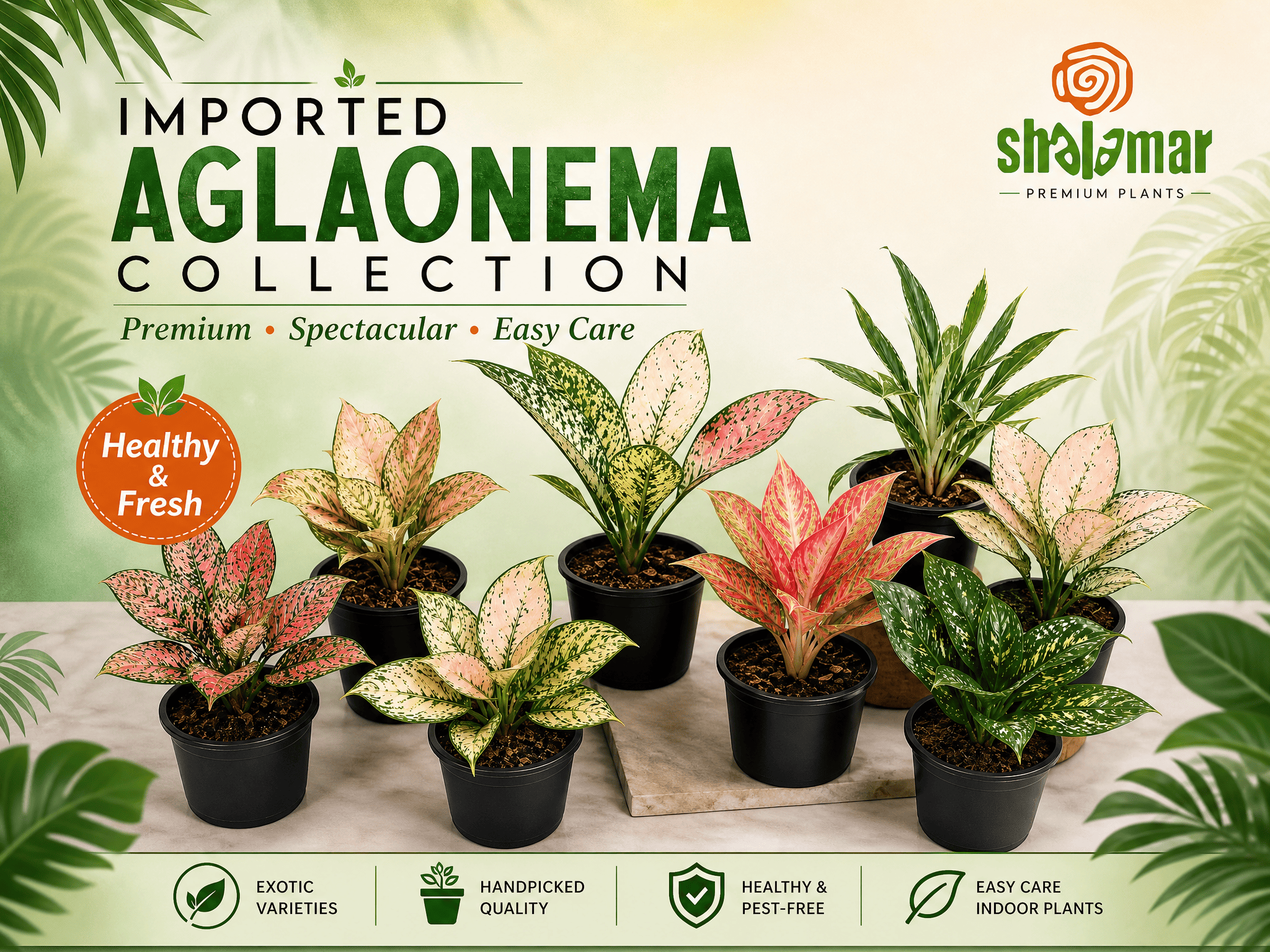 Shalamar Nurseries & Landscapers