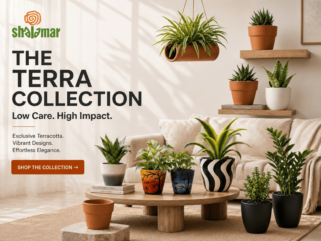 Shalamar Nurseries & Landscapers