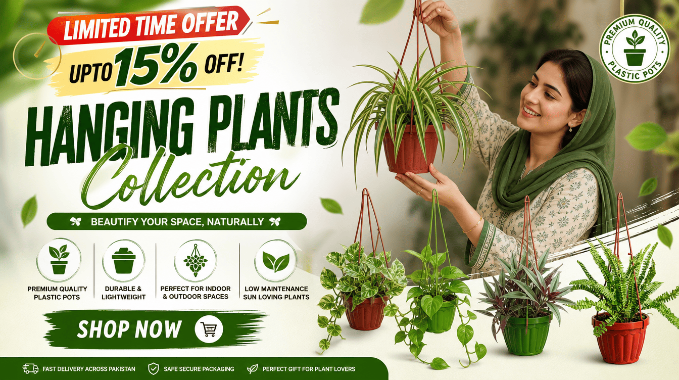 Shalamar Nurseries & Landscapers