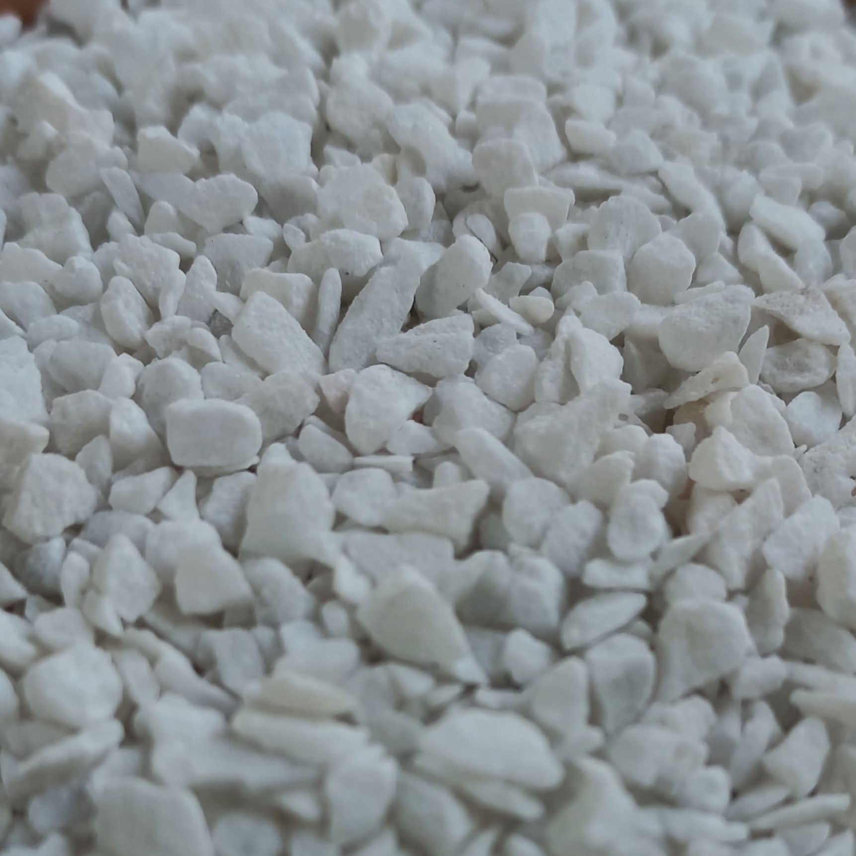 Marble Chips Dressing for Succulents and Cactus - Shalamar Nurseries & LandscapersShalamar Nurseries & Landscapers
