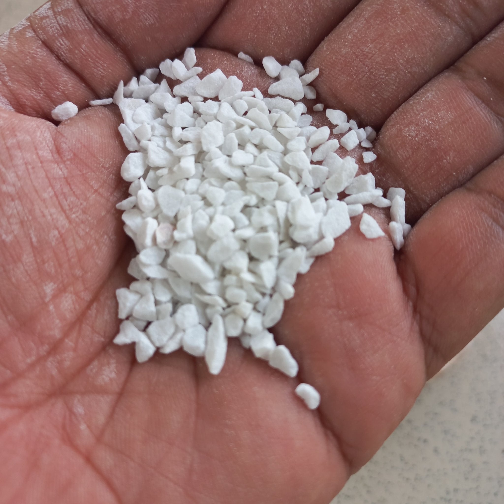 Marble Chips Dressing for Succulents and Cactus - Shalamar Nurseries & LandscapersShalamar Nurseries & Landscapers