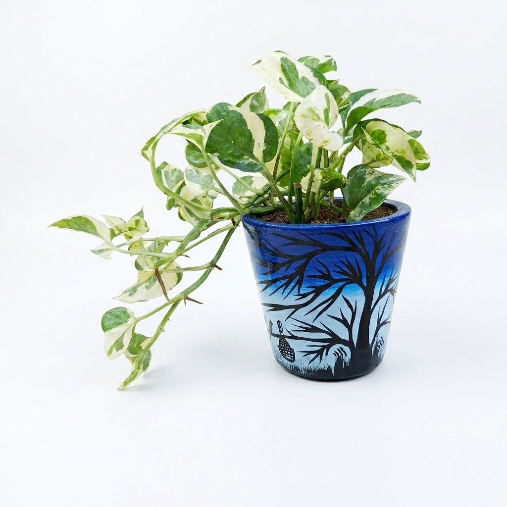 n joy money plant in self watering pot