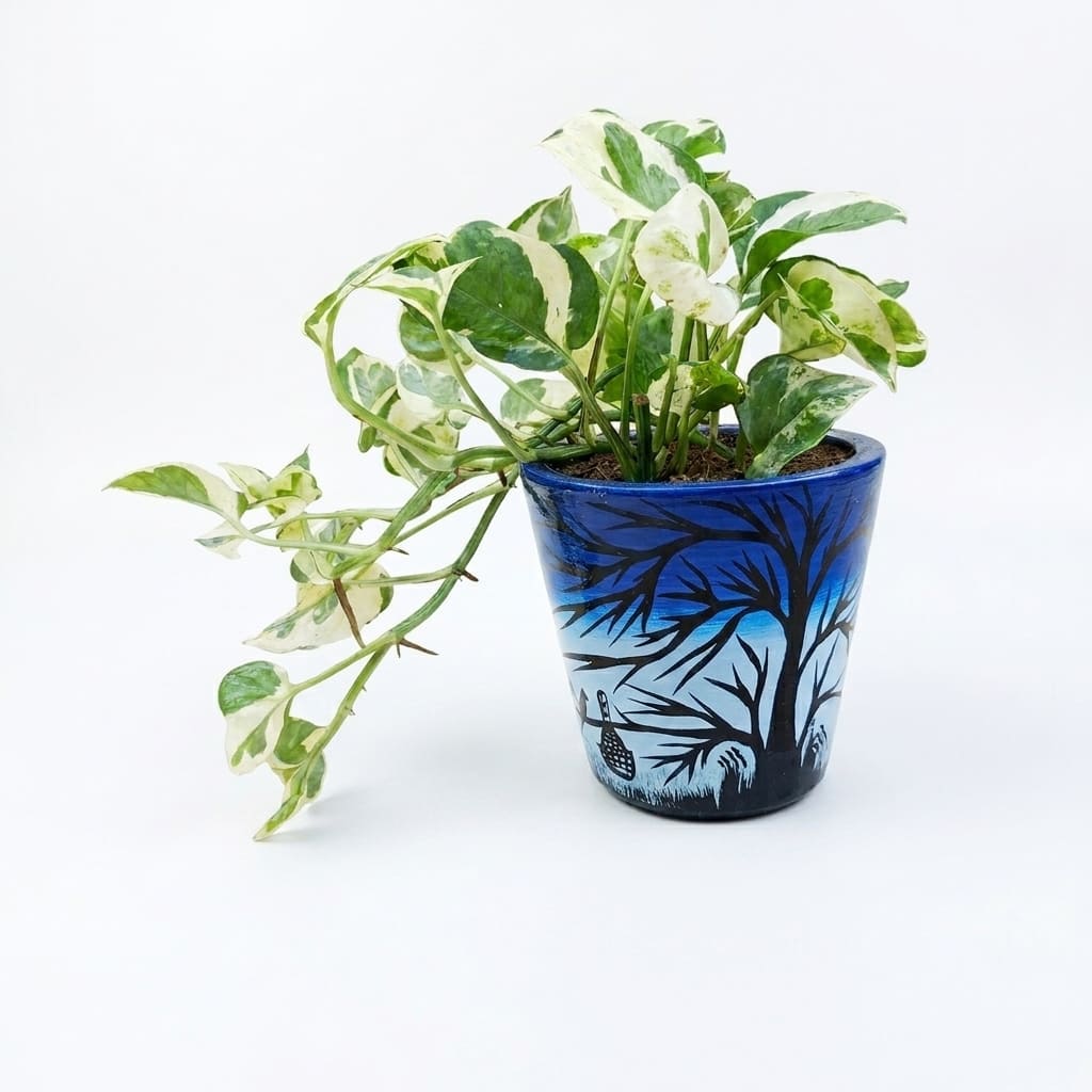 Indoor Plants