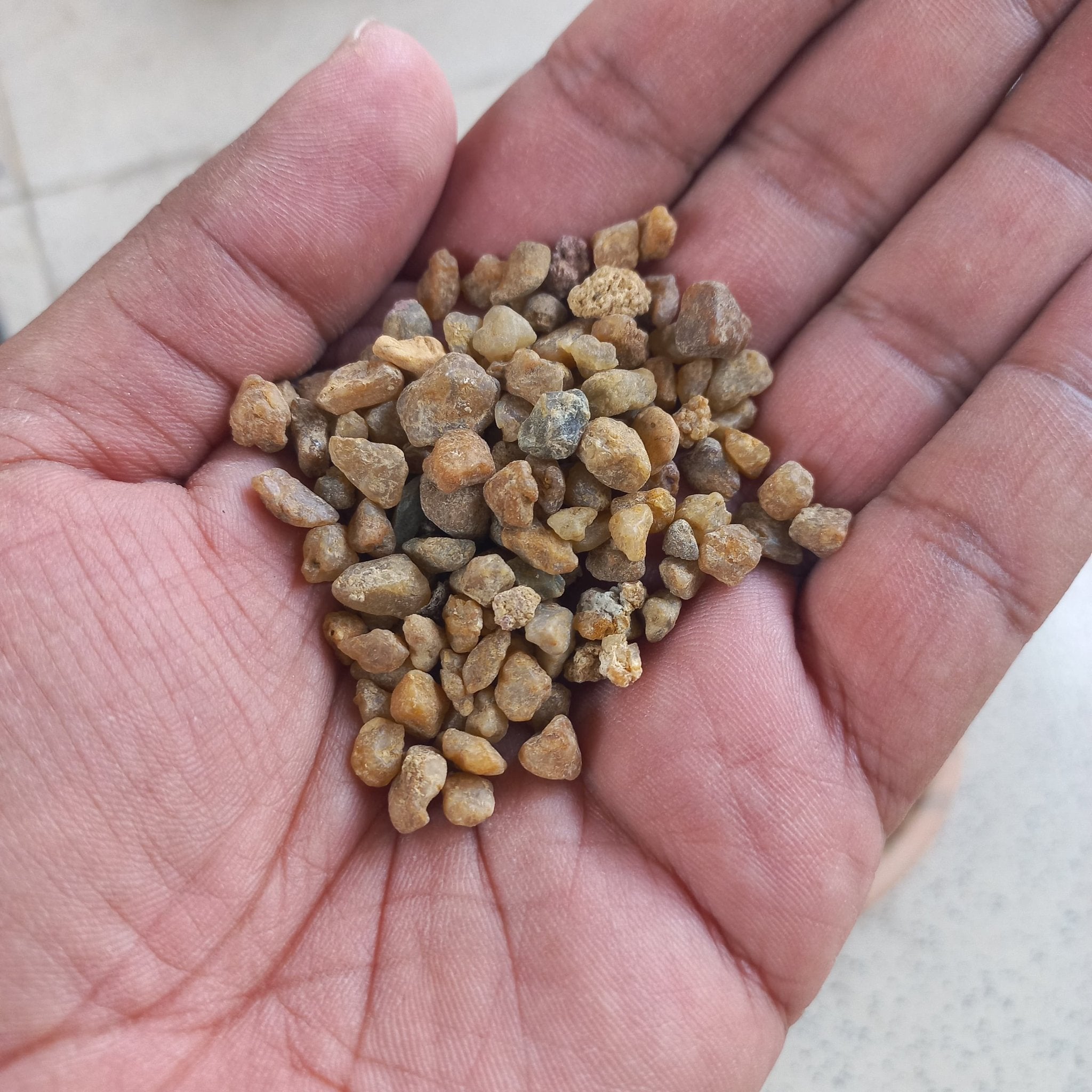 Natural Dressing Stone Brown for Succulents and Cactus - Shalamar Nurseries & LandscapersShalamar Nurseries & Landscapers