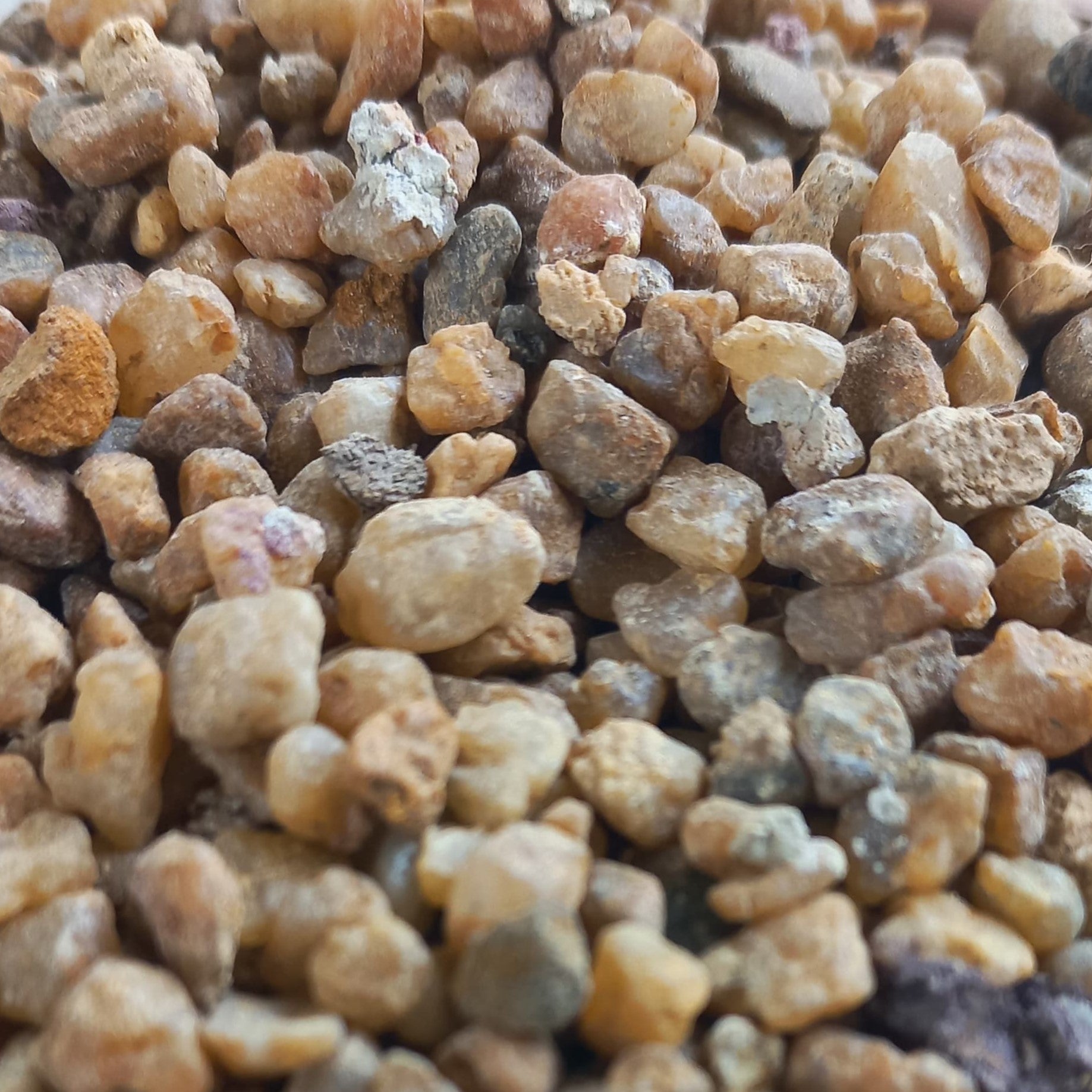 Natural Dressing Stone Brown for Succulents and Cactus - Shalamar Nurseries & LandscapersShalamar Nurseries & Landscapers