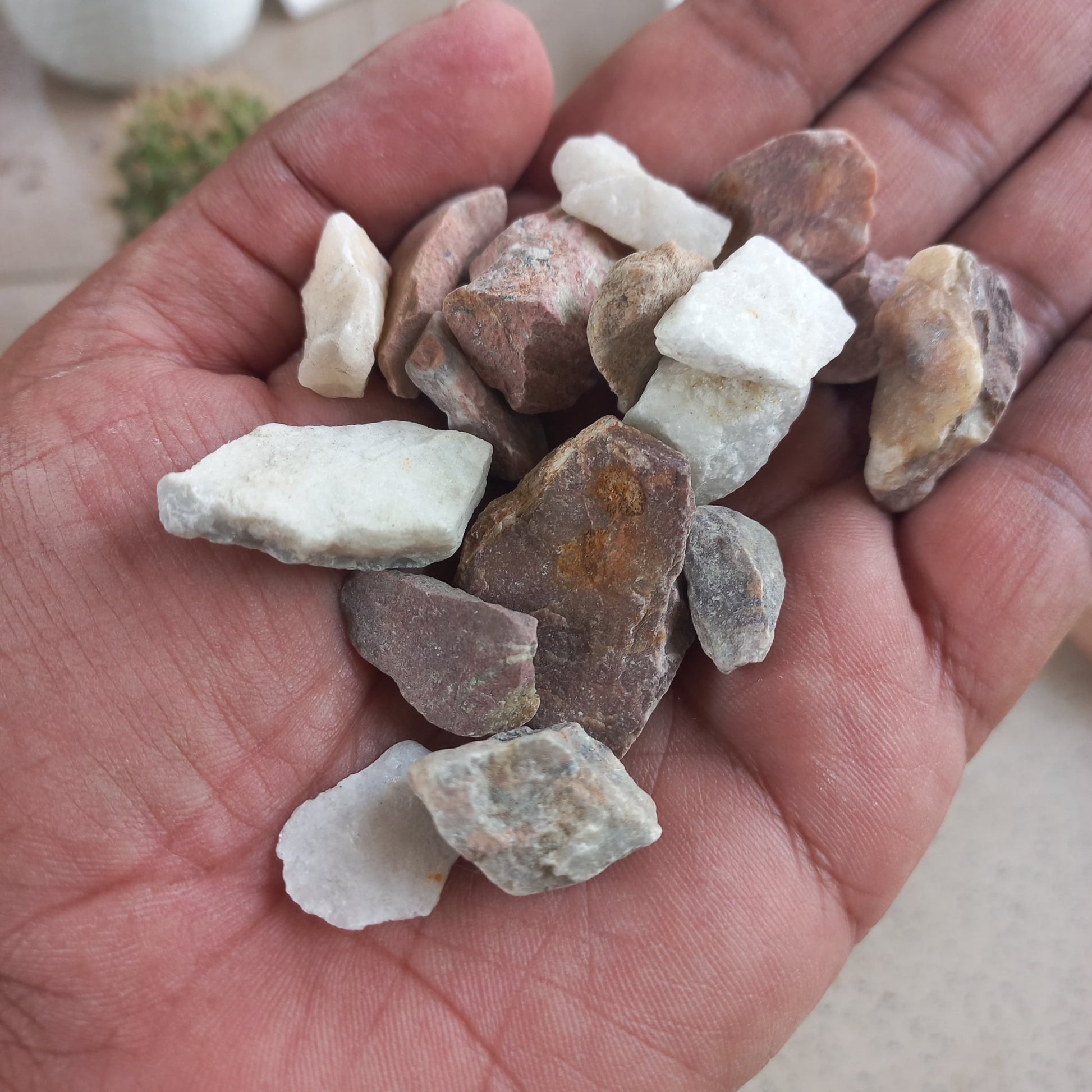 Natural Mix Stone Dressing for Succulents and Cactus - Shalamar Nurseries & LandscapersShalamar Nurseries & Landscapers
