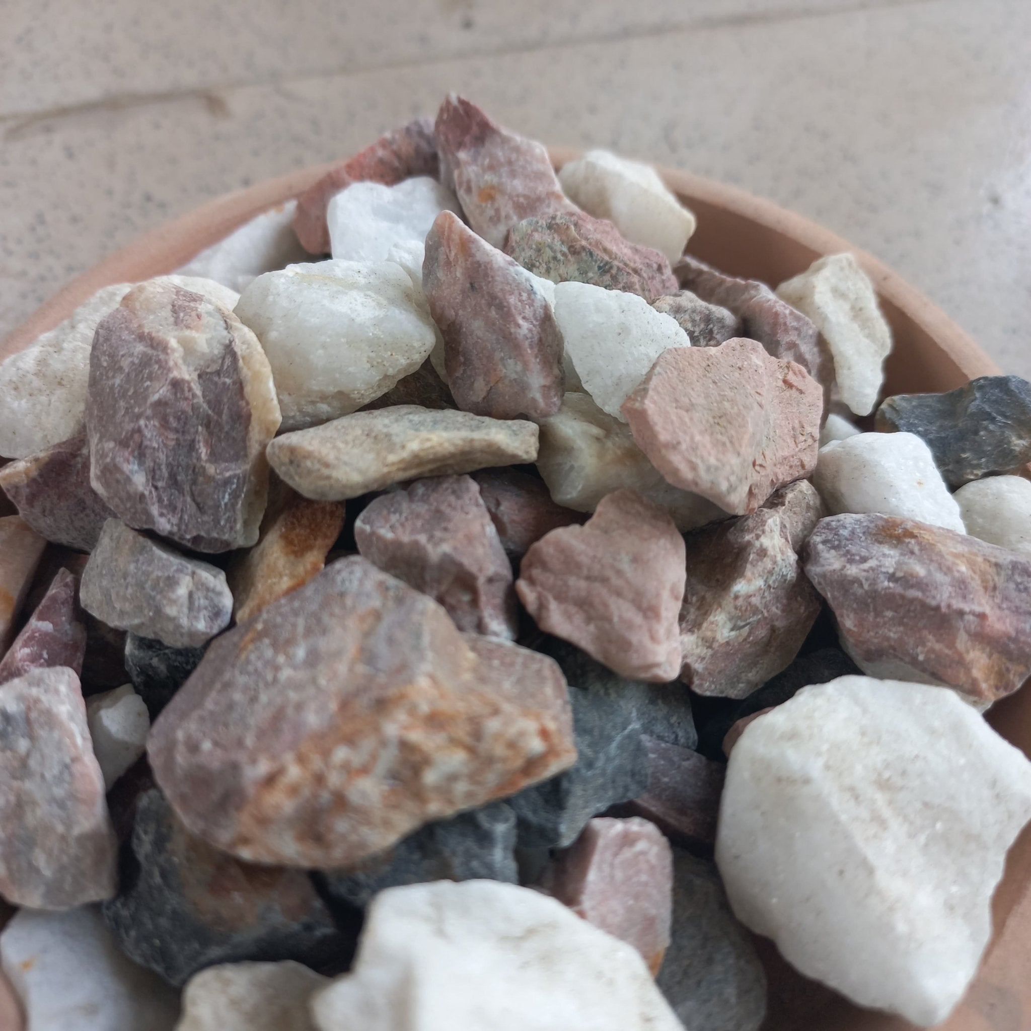 Natural Mix Stone Dressing for Succulents and Cactus - Shalamar Nurseries & LandscapersShalamar Nurseries & Landscapers