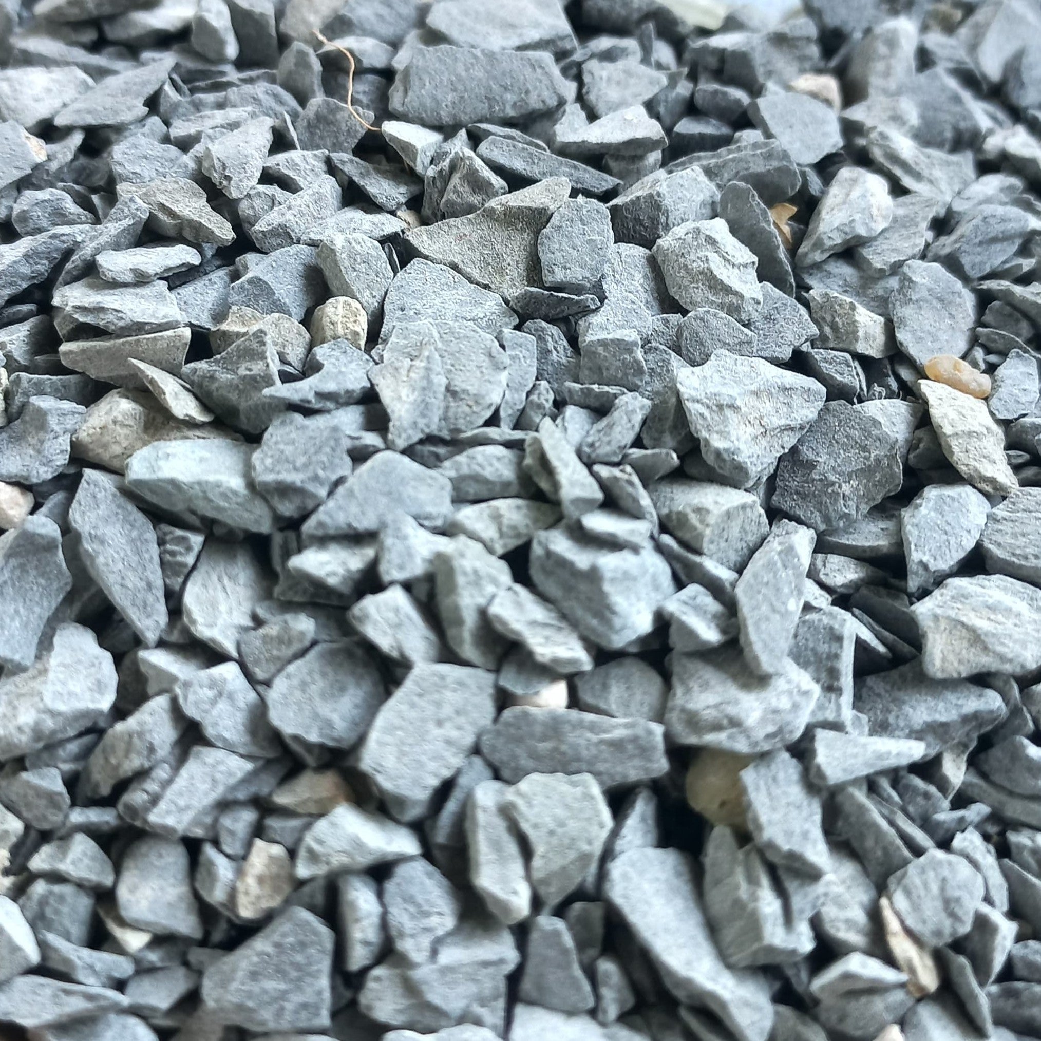 Natural Slate Stone Dressing for Succulents and Cactus - Shalamar Nurseries & LandscapersShalamar Nurseries & Landscapers