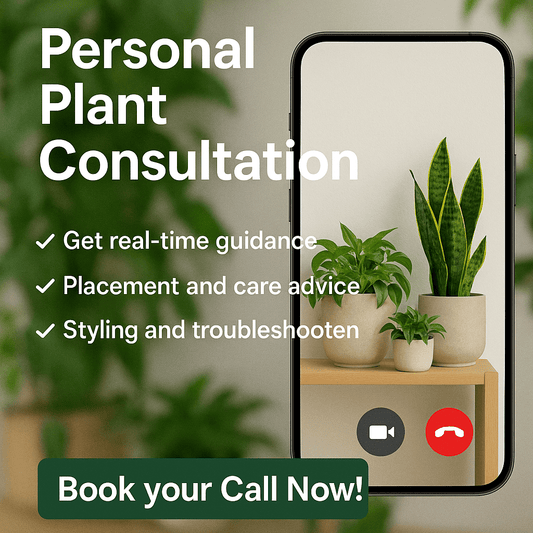 Personal Plant Consultation - Shalamar Nurseries & LandscapersShalamar Nurseries & Landscapers