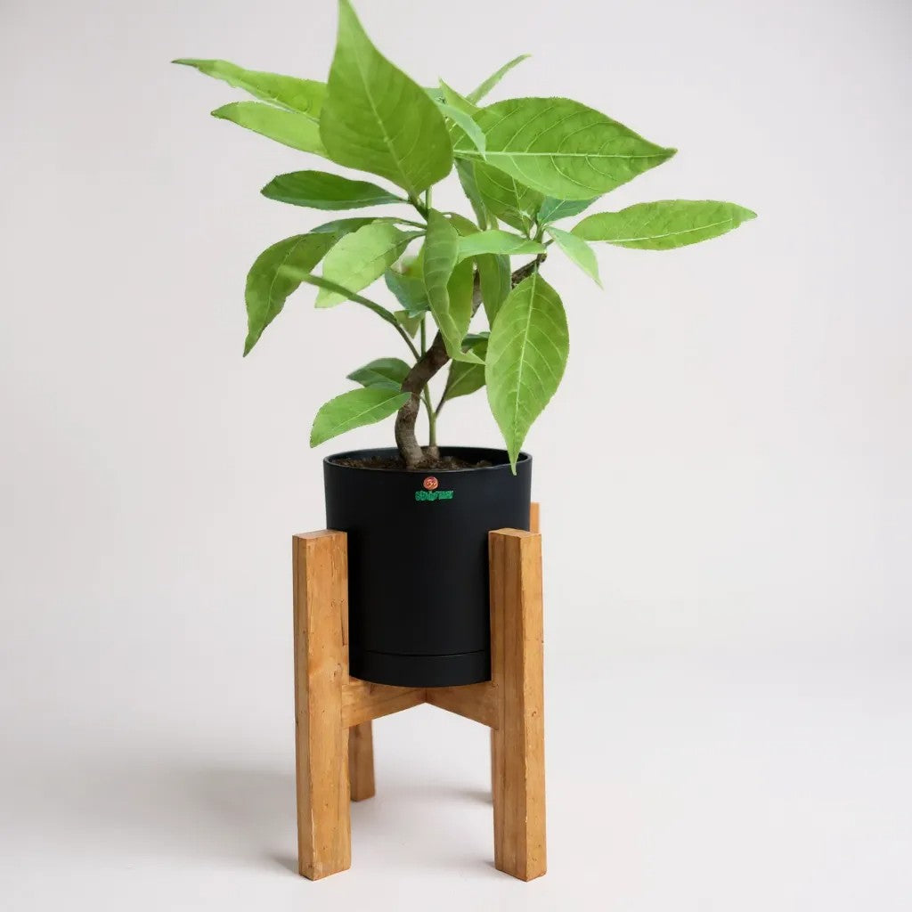 Wooden stand