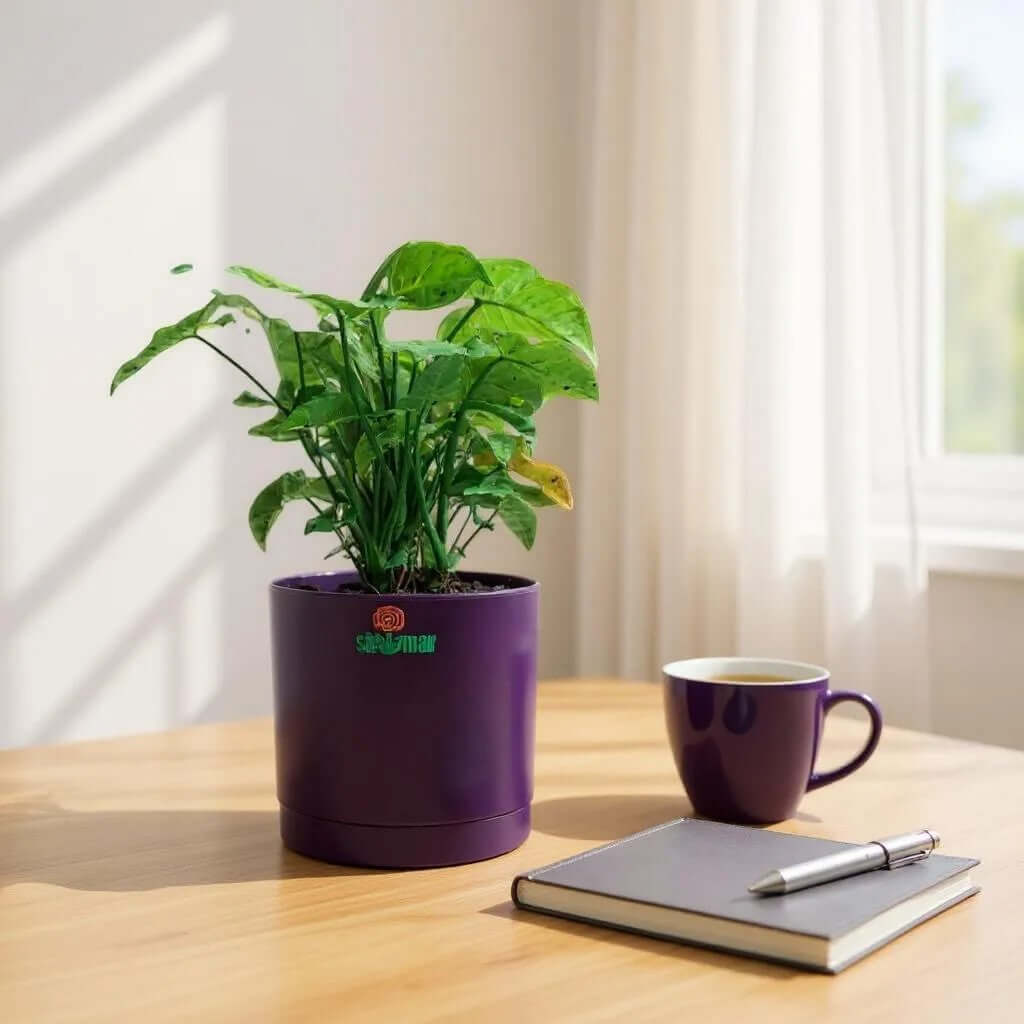Syngonium podophyllum (Arrowhead plant) in a purple high-quality plastic planter on a wooden table with a coffee cup and notebook.