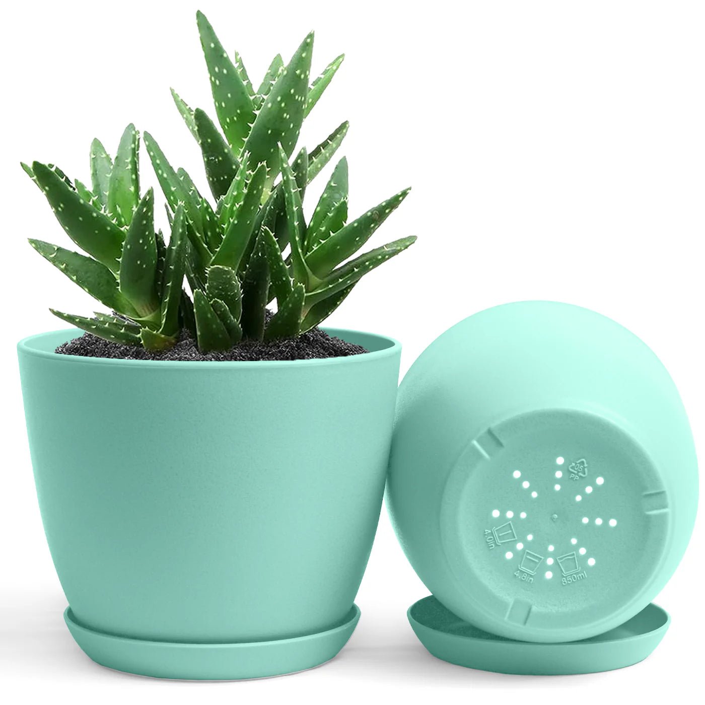 Plastic pot high quality - Shalamar Nurseries & LandscapersShalamar Nurseries & Landscapers