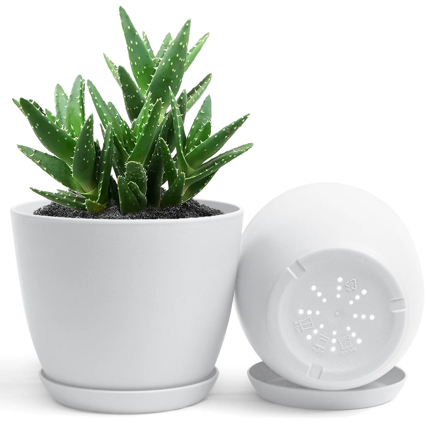 Plastic pot high quality - Shalamar Nurseries & LandscapersShalamar Nurseries & Landscapers