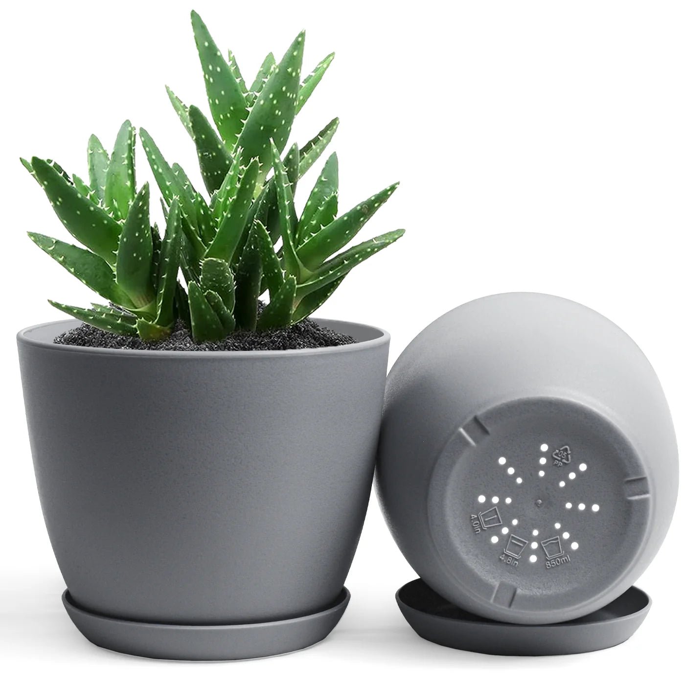 Plastic pot high quality - Shalamar Nurseries & LandscapersShalamar Nurseries & Landscapers