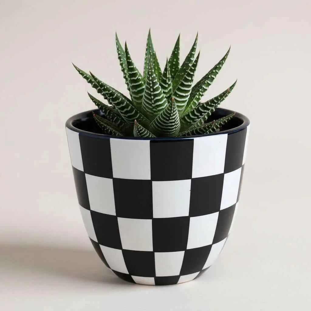 Oil painted Terracotta Pot Checkered