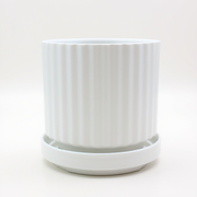 Premium Plastic Pots