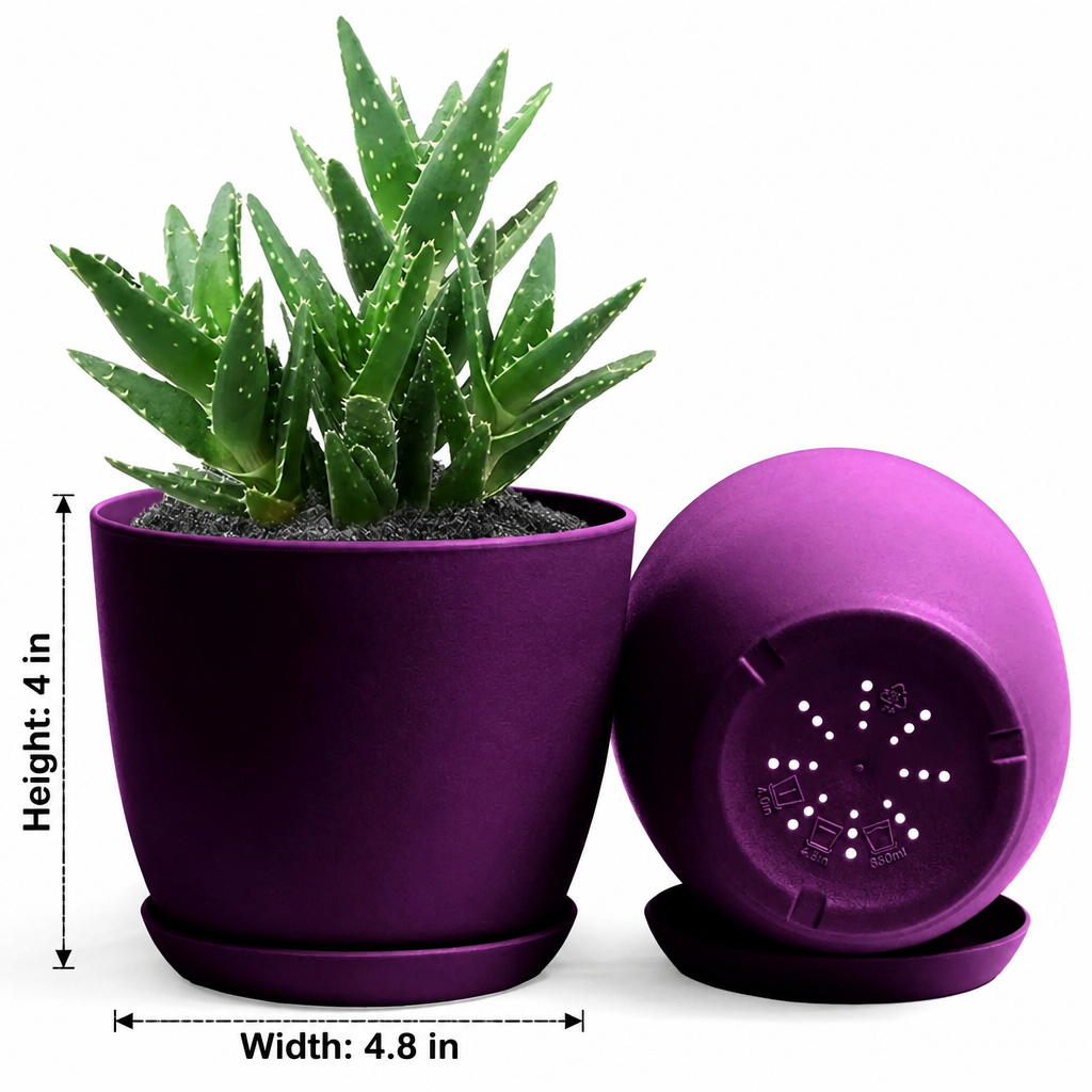 Luma Pot - dimensions: height 4 in, width 4.8 in