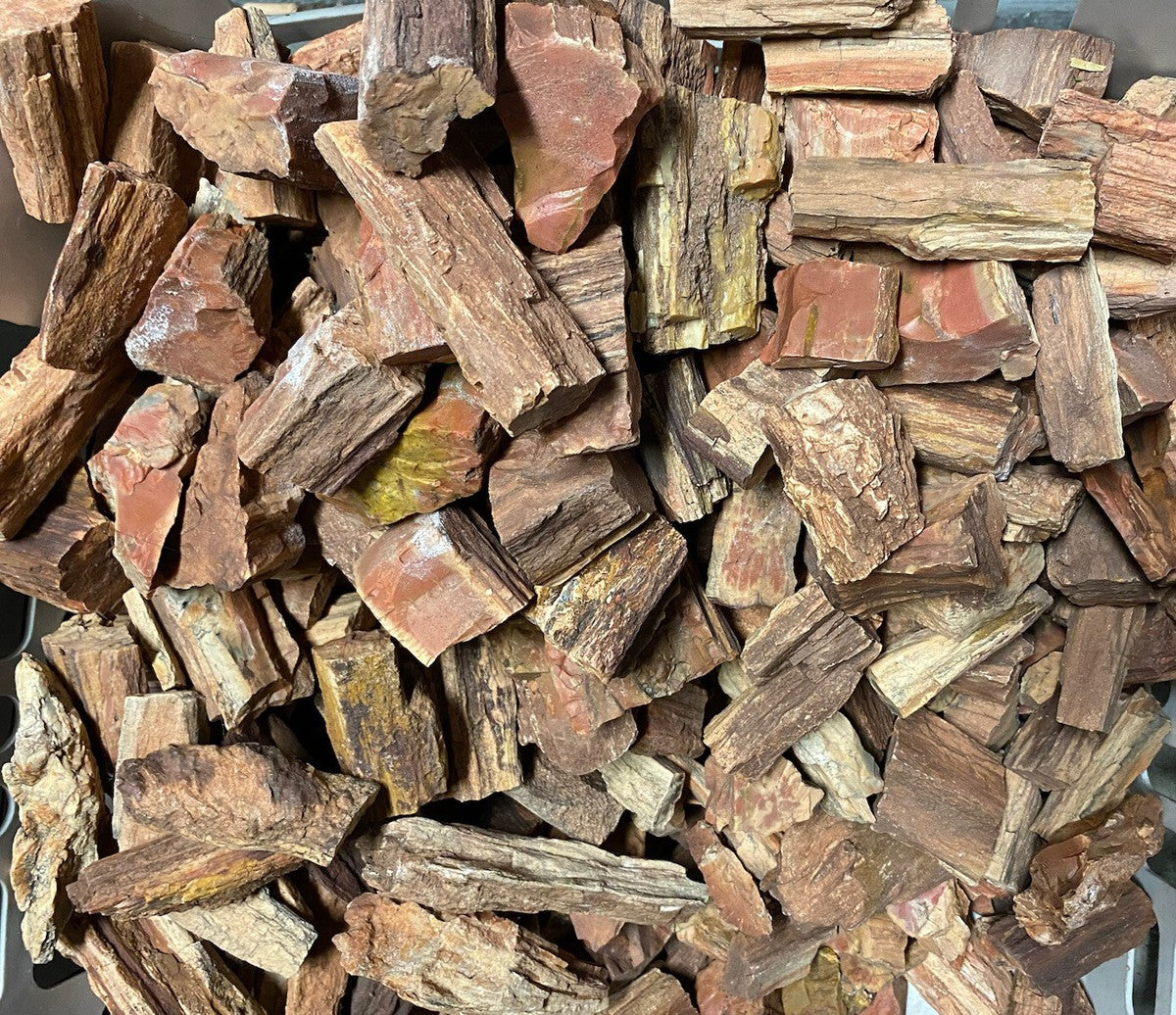 Fossilised Stone (Random)