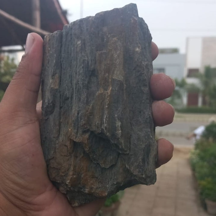 Fossilised Stone (Random)