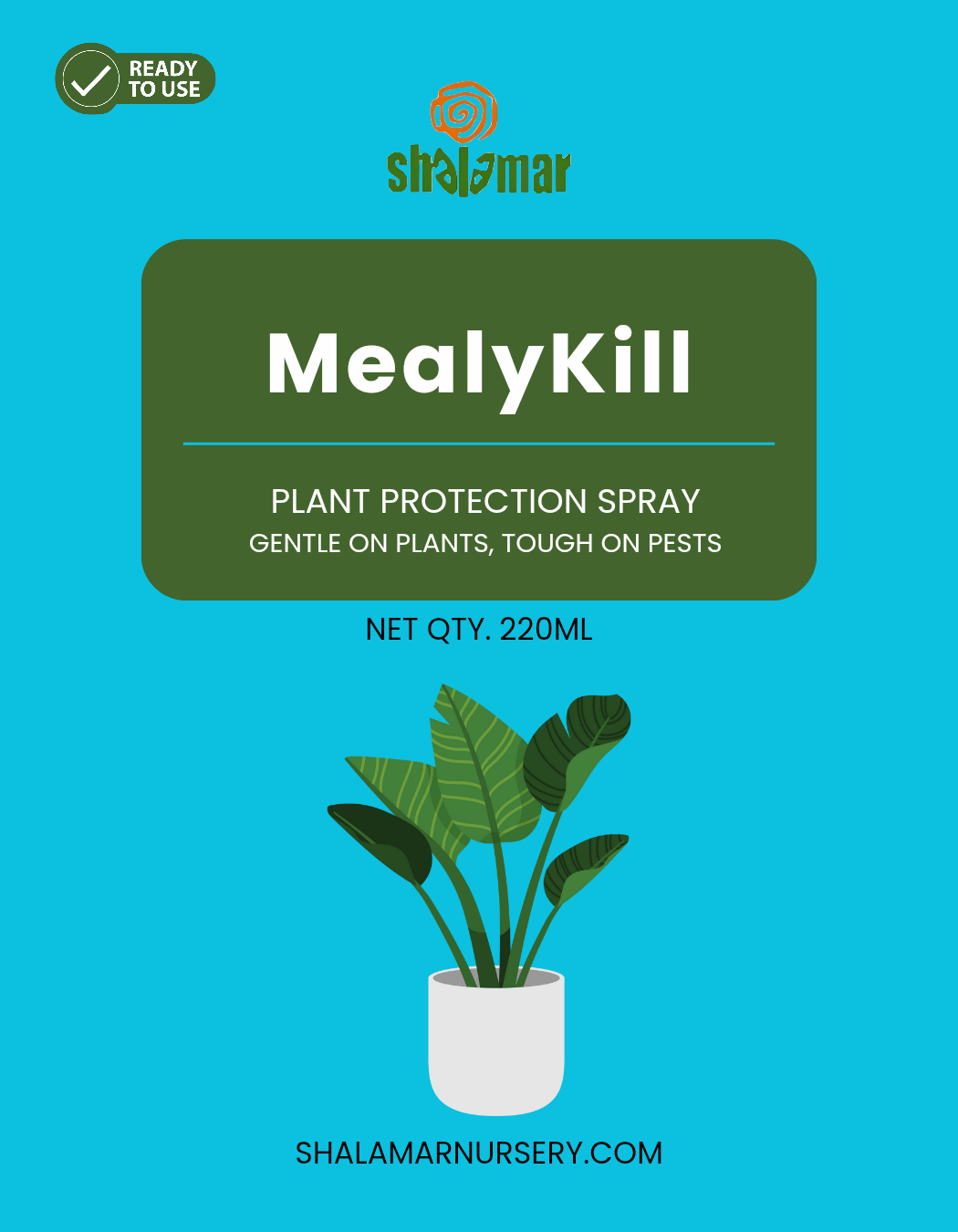 MealyKill