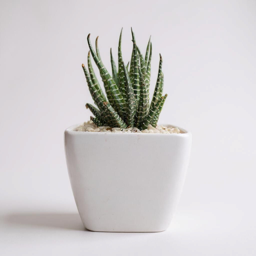 Set of 2 Melamine Plastic Pots