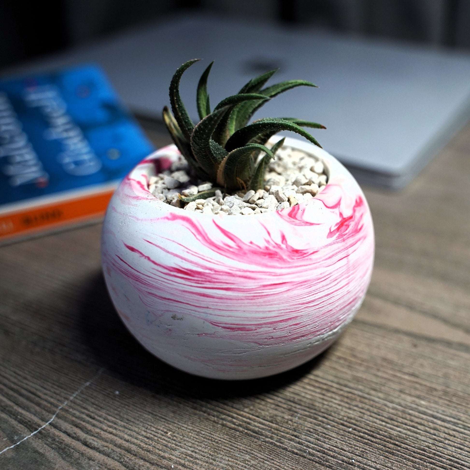 Round Cement Pot with Marble Pattern - Shalamar Nurseries & LandscapersShalamar Nurseries & Landscapers
