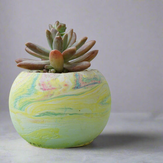 Round Cement Pot with Marble Pattern - Shalamar Nurseries & LandscapersShalamar Nurseries & Landscapers